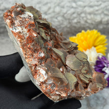 Load image into Gallery viewer, Nail Head Calcite with Siderite & Red Hematite Display – 钉头方解石共生菱铁矿赤铁矿摆件