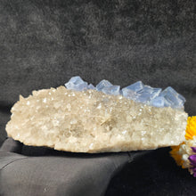 Load image into Gallery viewer, Blue Fluorite on Smoky Quartz Cluster (Fujian, China) – 中国福建蓝色萤石共生烟晶簇