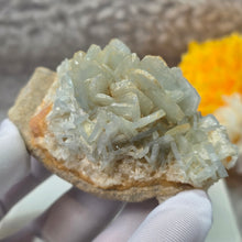 Load image into Gallery viewer, Blue Barite Mineral Specimen (Morocco) – 摩洛哥天然蓝色重晶石矿物标本