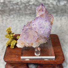 Load image into Gallery viewer, Spirit Quartz with Citrine Cluster Display – 仙人掌水晶伴黄水晶簇摆件