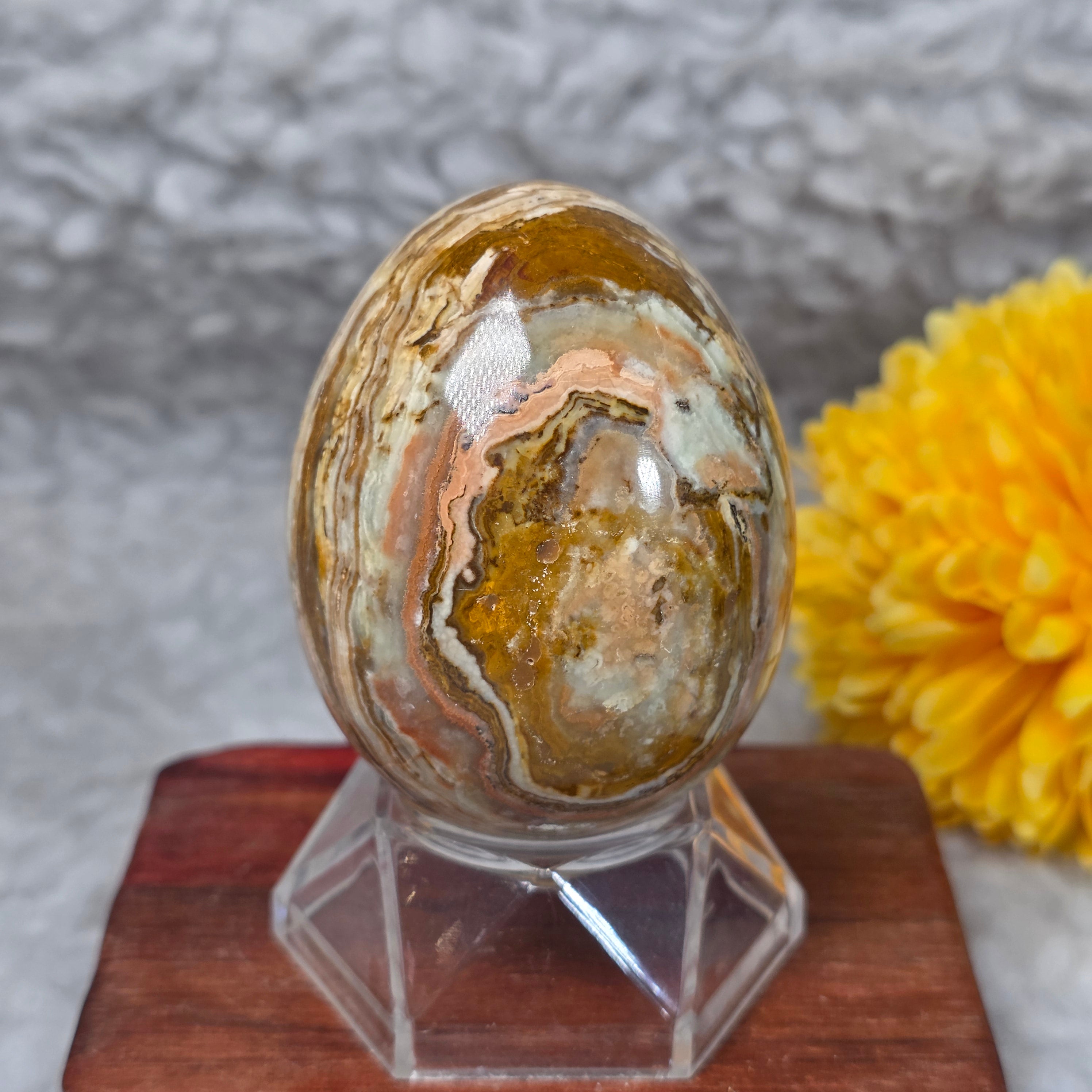 よしみ様　レア　高品質　グリーン桜瑪瑙　卵　egg Green Onyx Egg Display – 绿色玛瑙蛋形摆件 – Living Gems SG