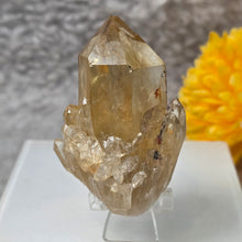 Load image into Gallery viewer, Natural Citrine Specimen (Congo) – 刚果天然黄水晶矿标