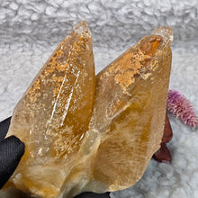 Load image into Gallery viewer, Golden Dogtooth Calcite Display – 金色犬牙方解石摆件