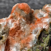 Load image into Gallery viewer, Thomsonite with Mesolite Specimen (India) – 印度托姆森石伴中沸石矿物标本