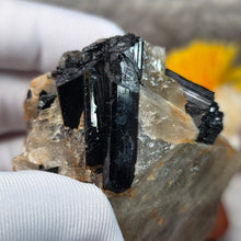 Load image into Gallery viewer, Raw Black Tourmaline in Quartz Specimen Display – 黑碧玺共生石英原矿摆件