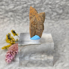 Load image into Gallery viewer, Glendonite – Earth Wisdom & Grounded Transformation Stone