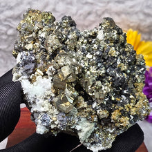 Load image into Gallery viewer, Pyrite with Quartz & Sphalerite Specimen (Bulgaria) – 保加利亚黄铁矿伴生水晶与闪锌矿标本
