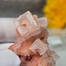 Load image into Gallery viewer, Pink Halite Specimen Display (California) – 加州粉红岩盐矿物标本摆件
