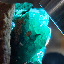 Load image into Gallery viewer, Dioptase with Malachite & Chrysocolla Specimen (Congo) – 刚果翠铜矿共生孔雀石与蓝铜矿矿标