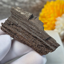 Load image into Gallery viewer, German Druzy Petrified Wood Display – Ancient Fossil Wood Specimen – 德国晶洞木化石远古化石标本