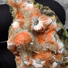 Load image into Gallery viewer, Thomsonite with Mesolite Specimen (India) – 印度托姆森石伴中沸石矿物标本