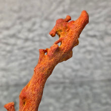 Load image into Gallery viewer, Raw Red Coral – Vitality, Protection & Emotional Strength