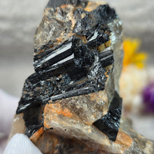 Load image into Gallery viewer, Raw Black Tourmaline in Quartz Specimen Display – 黑碧玺共生石英原矿摆件