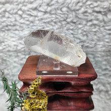 Load image into Gallery viewer, Lemurian Seed Crystal from Brazil – Ancient Wisdom & Heart Alignment