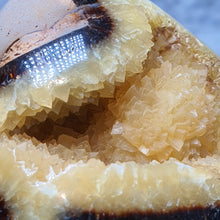 Load image into Gallery viewer, Septarian Geode – Grounding & Expression Stone