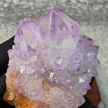Load image into Gallery viewer, Spirit Quartz with Citrine Cluster Display – 仙人掌水晶伴黄水晶簇摆件