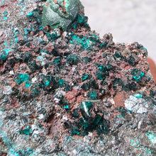 Load image into Gallery viewer, Dioptase (Congo) – Intense Heart Healing & Rare Collector Crystal