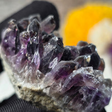 Load image into Gallery viewer, Amethyst Cluster Specimen (Bulgaria) – 保加利亚紫水晶簇矿标