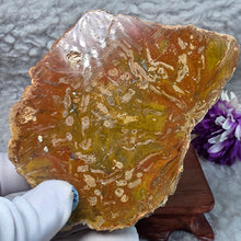 Load image into Gallery viewer, Petrified Wood Display (Madagascar) – 马达加斯加木化石摆件