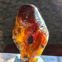 Load image into Gallery viewer, Raw Blue Amber – Calm Energy, Clarity & High-Vibration Protection