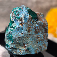 Load image into Gallery viewer, Dioptase with Chrysocolla Specimen (Congo) – 刚果翠铜矿共生蓝铜矿矿标