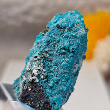 Load image into Gallery viewer, Blue Chrysocolla on Quartz Display (Peru) – 秘鲁蓝硅孔雀石共生石英摆件