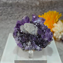 Load image into Gallery viewer, Amethyst with Calcite on Black & Red Hematite Specimen (Uruguay) – 乌拉圭紫水晶共生方解石黑红赤铁矿标本