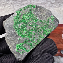 Load image into Gallery viewer, Uvarovite Garnet (Russia)