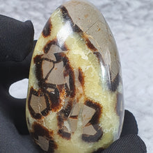 Load image into Gallery viewer, Septarian Geode – Grounding & Expression Stone