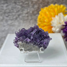 Load image into Gallery viewer, Amethyst Cluster Specimen (Bulgaria) – 保加利亚紫水晶簇矿标