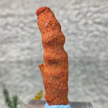 Load image into Gallery viewer, Raw Red Coral – Vitality, Protection & Emotional Strength