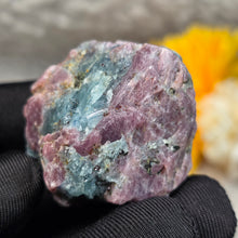 Load image into Gallery viewer, Raw Ruby with Kyanite Specimen Display – 红宝石共生蓝晶石原矿摆件