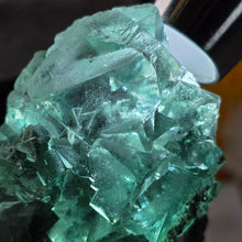 Load image into Gallery viewer, Green Fluorite Specimen (Xianghualing Mine, Hunan, China) – 湖南香花岭矿天然绿色萤石矿物标本