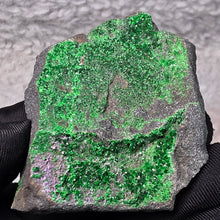 Load image into Gallery viewer, Uvarovite Garnet (Russia)