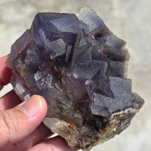 Load image into Gallery viewer, Blue Fluorite Display (Pakistan) – 巴基斯坦蓝萤石矿物摆件