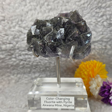 Load image into Gallery viewer, Colour-Changing Fluorite with Pyrite (Nigeria) – 尼日利亚变色萤石共生黄铁矿