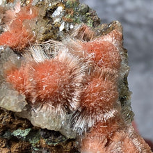 Load image into Gallery viewer, Thomsonite with Mesolite Specimen (India) – 印度托姆森石伴中沸石矿物标本