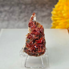 Load image into Gallery viewer, Vanadinite Mineral Specimen (Morocco) – 摩洛哥天然钒铅矿矿物标本