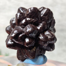 Load image into Gallery viewer, Prophecy Stone from the Sahara Desert – Transformation & Inner Awakening