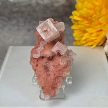 Load image into Gallery viewer, Pink Halite Specimen Display (California) – 加州粉红岩盐矿物标本摆件