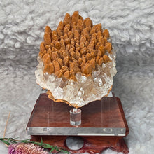 Load image into Gallery viewer, Clear Dogtooth Calcite with Brown Calcite (Secondary Growth) Specimen – 透明犬牙方解石伴褐色次生方解石标本