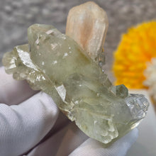 Load image into Gallery viewer, Gemmy Green Apophyllite Specimen Display – 宝石级绿色鱼眼石标本摆件