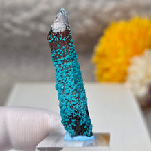 Load image into Gallery viewer, Blue Chrysocolla on Quartz Display (Peru) – 秘鲁蓝硅孔雀石共生石英摆件