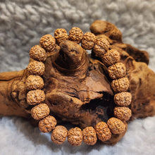 Load image into Gallery viewer, 🌿 Rudraksha Bracelet – Sacred Protection &amp; Spiritual Balance 🌿
