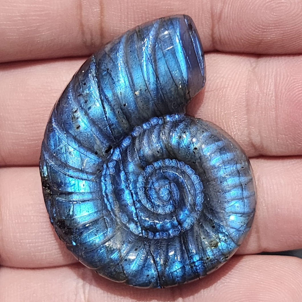 ✨🌀 Labradorite Ammonite — Ancient Spiral, Magical Light 🌀✨