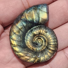 Load image into Gallery viewer, ✨🌀 Labradorite Ammonite — Ancient Spiral, Magical Light 🌀✨
