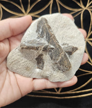 Load image into Gallery viewer, ✨ Staurolite Fairy Cross — Nature’s Talisman of Protection &amp; Blessings ✨
