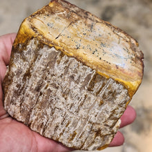 Load image into Gallery viewer, Petrified Wood – Stone of Grounding &amp; Transformation
