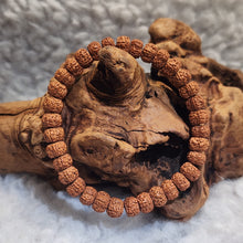 Load image into Gallery viewer, 🌿 Rudraksha Bracelet – Sacred Protection &amp; Spiritual Balance 🌿

