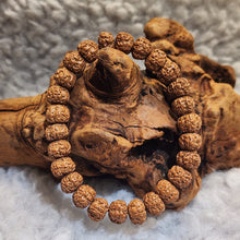 Load image into Gallery viewer, 🌿 Rudraksha Bracelet – Sacred Protection &amp; Spiritual Balance 🌿
